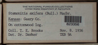 Image Associated With the Occurence
